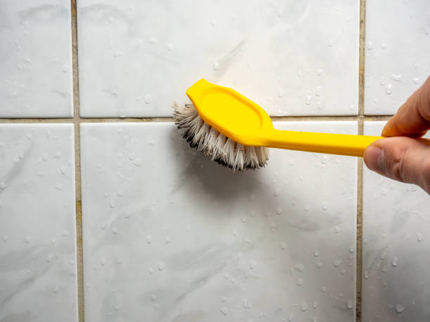 Best Mold Cleaning Services  in Langley Park, MD