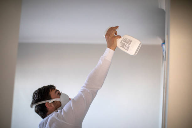 Best Mold Testing  in Langley Park, MD